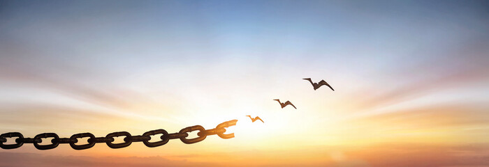 Peace and freedom concept, silhouette of flying birds and broken chain on beautiful sky sunset background