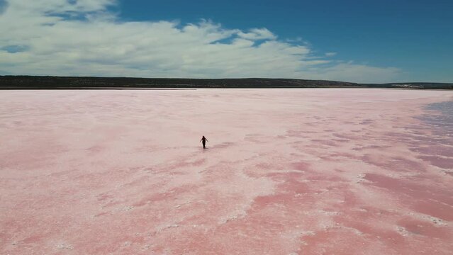 wide orbit drone view of line female walking casually over Hutt Lagoon Pink Lake in Western Australia.