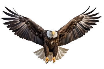 Eagle isolated on transparent background.