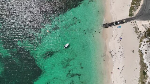 sting rays hamelin bay beach 4k australia