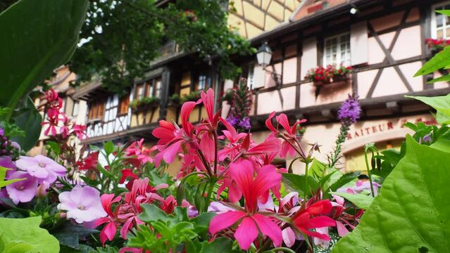 Moving through the colorful half timbered building in the streets of the beautiful Alsace village Riquewihr