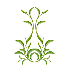Art pattern  green tea leaves on white background