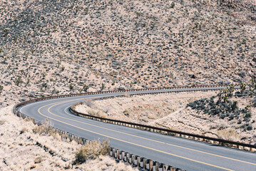 Desert road in Arizona surrounded by succulent plants