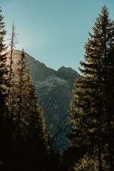 Sun shining through the trees with a rocky mountain on the background