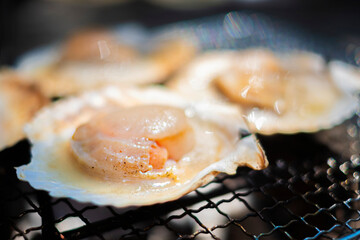 ホタテ貝を七輪で焼く