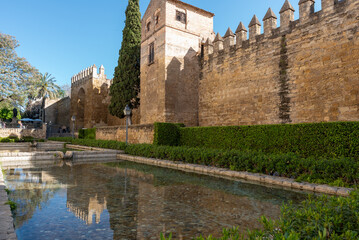 Obraz premium medieval wall in the city of Córdoba Spain, Puerta de Almodóvar
