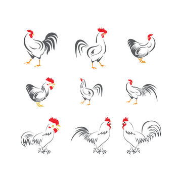 Vector of chicken design on white background. Hen. Farm Animals.chicken logo rooster and hen logo for poultry farming animal logo vector illustration design,Amazing rooster logo design vector