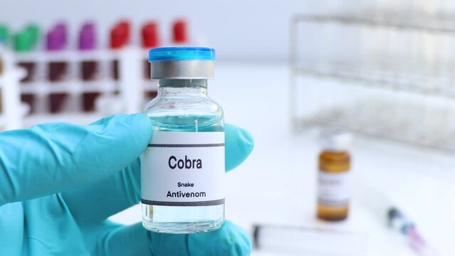 Cobra, Snake antivenoms in a vial, Serum for injection to prevent venom from snake bites, laboratory background 