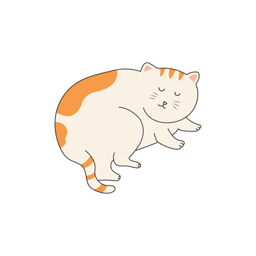kids drawing Vector illustration cute fat cat sleeping icon in doodle style
