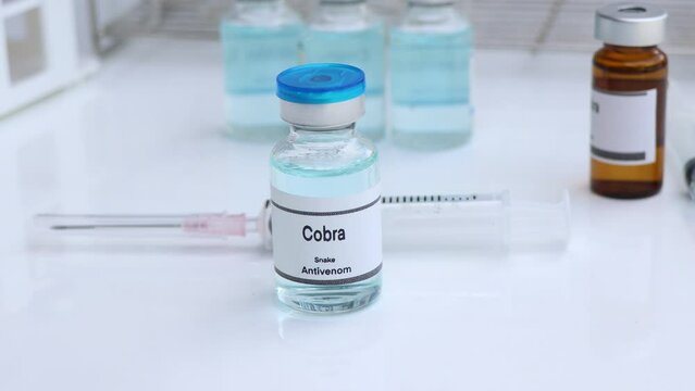 Cobra, Snake antivenoms in a vial, Serum for injection to prevent venom from snake bites, laboratory background 