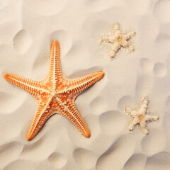 Starfish on sand isolated on white background