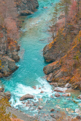 montenegro tara river and canyon with defoliated trees and blue water in winter