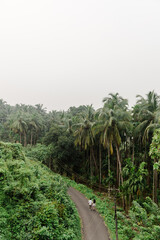 Fototapeta premium rice terraces in island