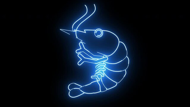 animated video of a shrimp icon with a glowing neon effect
