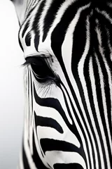 Deurstickers Wildlife safari africa zebra animal nature wild © VICHIZH