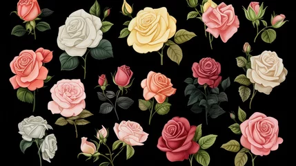 Behang Beautiful pink roses on black background. Generavie AI © Gelpi
