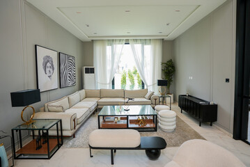 luxury drawing room interior with a sofa set a table