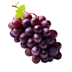 Fototapeta premium Grape, isolated on transparent background, PNG, 300 DPI