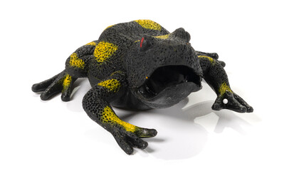 Closeup of rubber frog toy on white background.