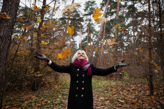 Happy senior woman throws leaves in forest or natural park in autumn, smiles. Older female model stylishly dressed in black coat, scarf. Mature joy, active lifestyle