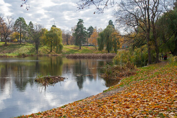 autumn in the park