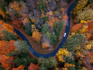 Aerial view of a car driving along a winding road through an autumnal forest, Salzburg, Austria