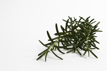 Close-up of fresh twigs of rosemary on a white background