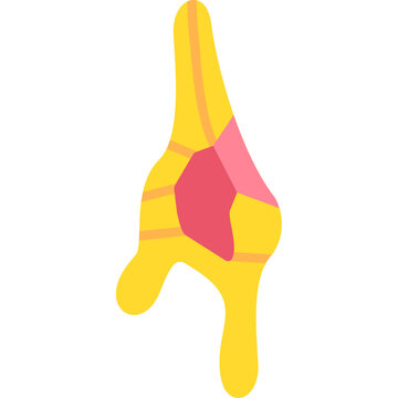 Ceratium Dinoflagellate Icon