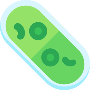 Cylindrocystis Icon
