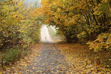 The stone road to the descent is lined with autumn maple leaves.