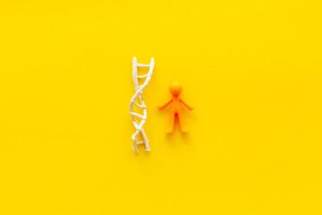 Human rubber figurine and DNA molecule model. Heredity concept - obrazy, fototapety, plakaty