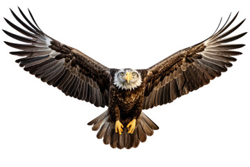 Fototapeta premium Bald eagle in flight on transparent background, PNG file