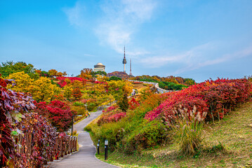Namsan Seoul Tower castle wall during autumn leaves, taken in Seoul, South Korea.
