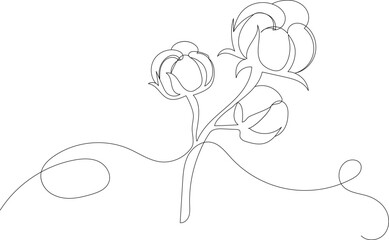 cotton flower continuous line drawing on white background vector