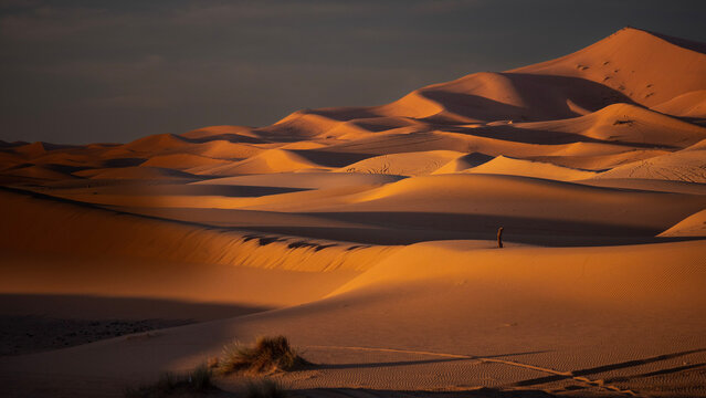 sunrise in the desert