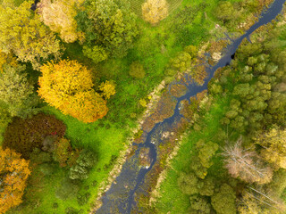 Overgrown river on a colorful autumn day, Latvia