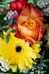 bouquet of colorful flowers