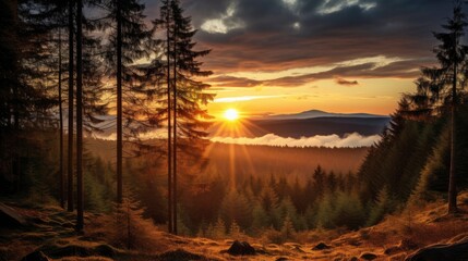 Golden sundown above the forest with lots of sun rays in the dramatic sky