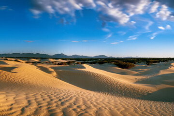 desert panorama with mountains in the background