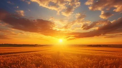 Foto op Plexiglas Golden sundown in rural area with lots of sun rays in the dramatic sky © shooreeq