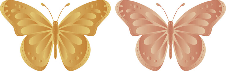 vector butterfly drawings. 3d illustration images.