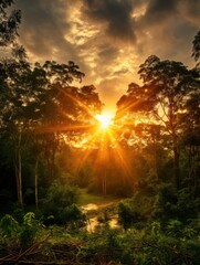 Fototapeta na wymiar Golden sundown in the jungle with lots of sun rays in the dramatic sky