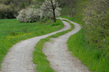 Curved country road through green countryside with trees and fields, rural landscape in spring