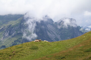 green mountain pasture with low clouds and mountains in the distance 