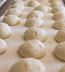 Fototapeta na wymiar Raw dough of bread