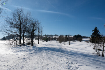 Fototapeta na wymiar Winter landscape with a lot of snow, some trees and a blue sky