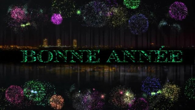 Animation of bonne annee text and fireworks exploding on black background