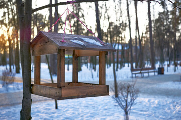 Bird wooden feeder at sunset in winter park