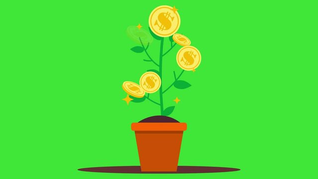 2d animation dollar money plant growth in pots on green screen motion