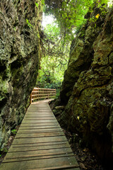 View of the boardwalk paths through the forest of mountains, This is Tzaishan(Shoushan) National Nature Park in Kaohsiung, Taiwan.
